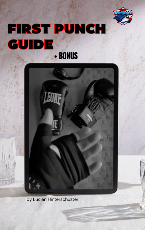 First Punch Guide - für Boxanfänger